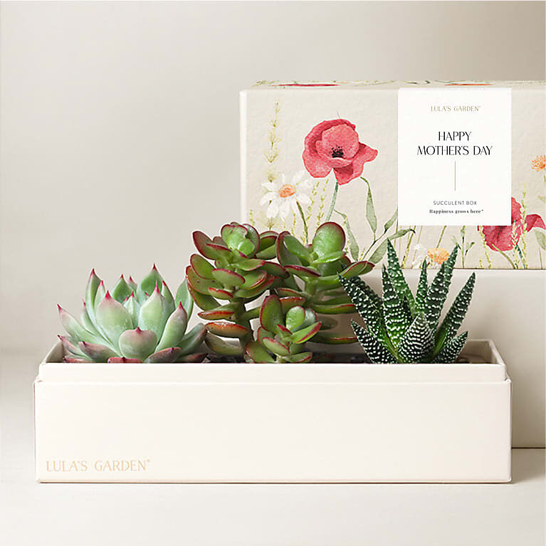 Jardín de Lula - Jardines Premium para el Día de la Madre (Jardín Joya)