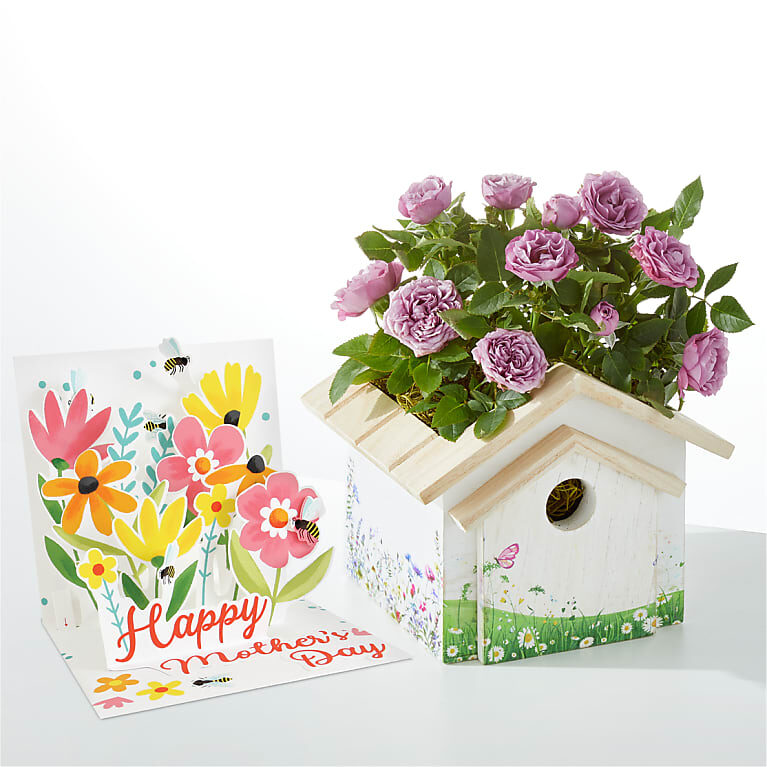 Rosa lavanda en casita decorativa para pájaros y tarjeta desplegable para el Día de la Madre.