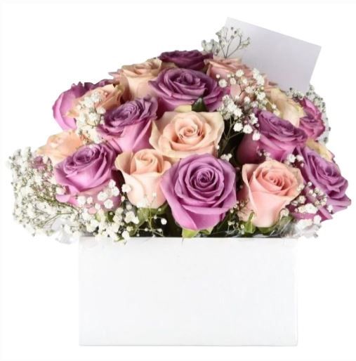 24 Rosas Pastel - Diseño Clásico