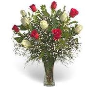 Florero 12 Rosas Bicolor