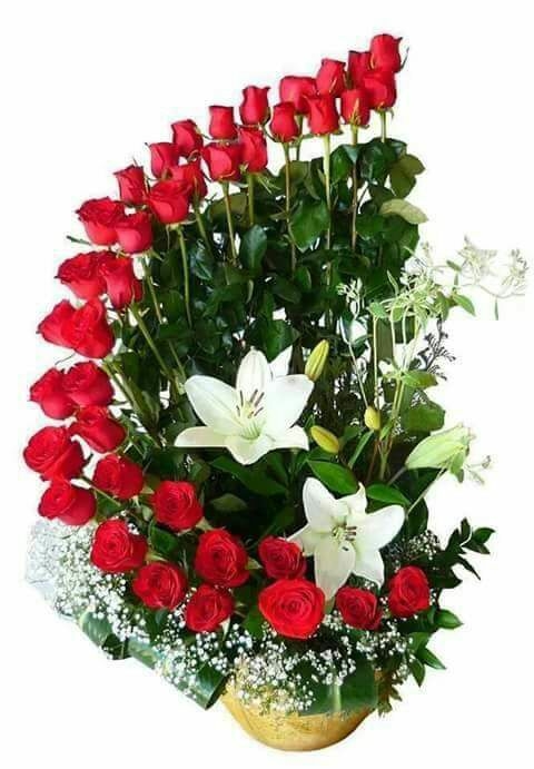 Arreglo de 36 rosas en media luna