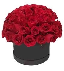 Cajas con 50 rosas importadas