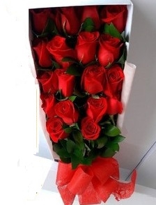 caja 18 rosas