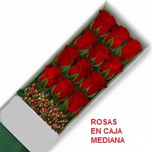 Caja de 12 rosas medianas