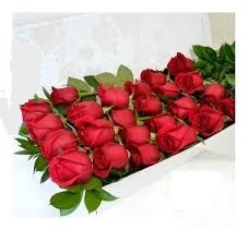 Caja de 24 rosas