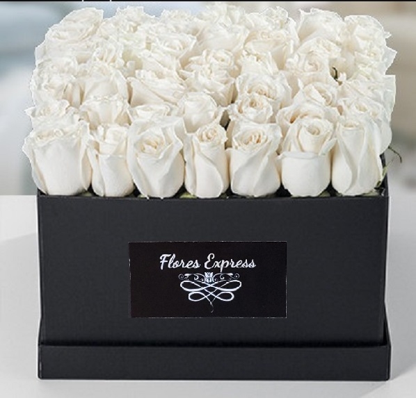 Caja de Lujo con 25 rosas BLANCAS