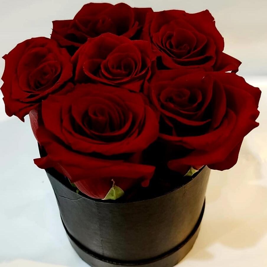 Caja redonda de 6 Rosas IMPORTADAS