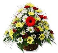 Canasta de Gerberas y Margaritas