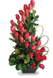 Caracol de 25 rosas importadas