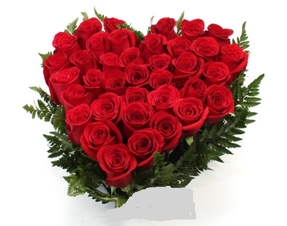 ROSAS DE CORAZÓN Premium