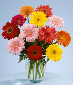 Florero Gerberas