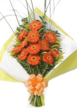 Barril de Gerberas