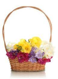 CESTA MEDIA CON FRESIAS