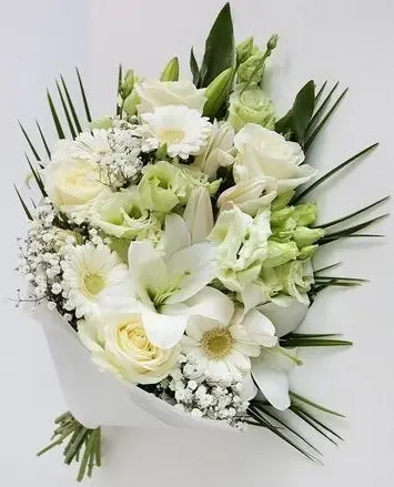 Ramo Blanco Premium