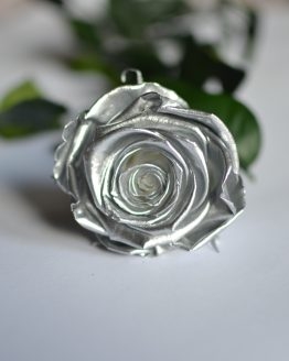 Rosas de plata importadas