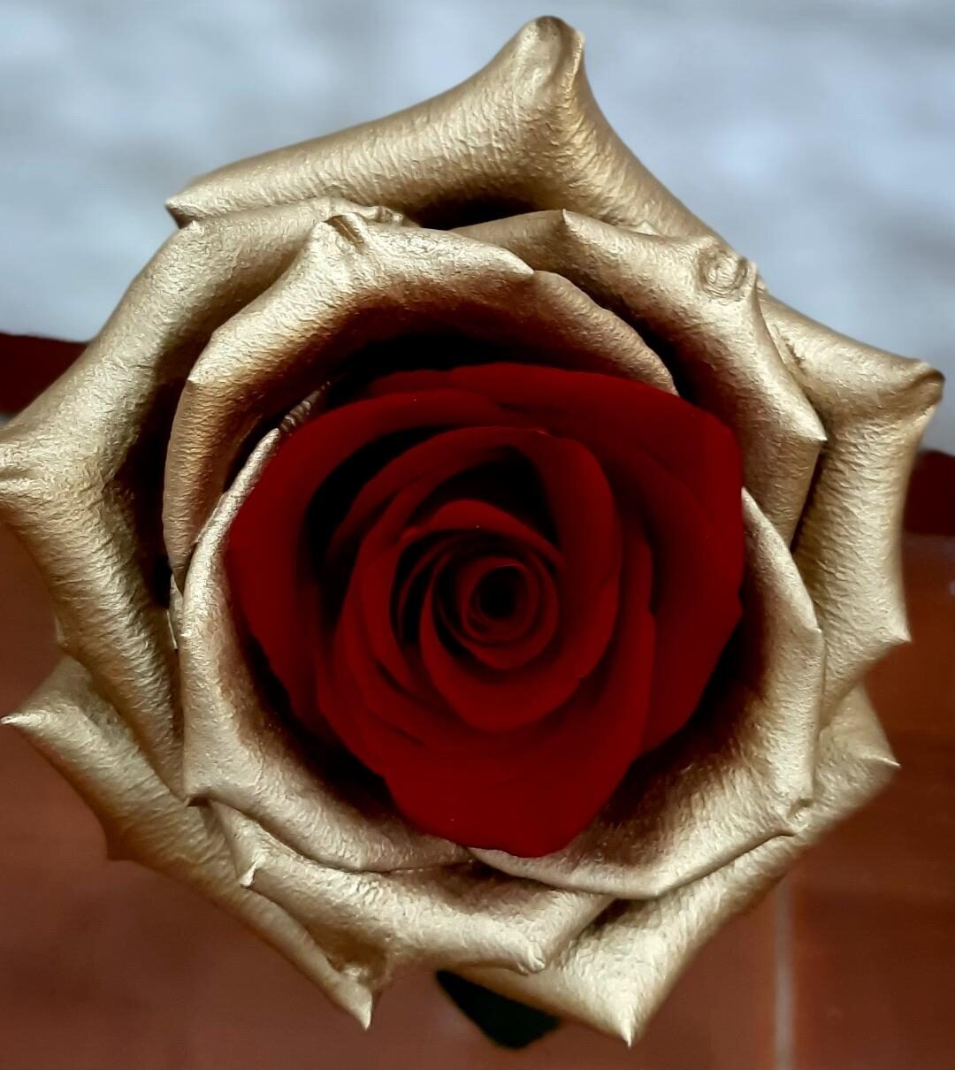 ORO ROJO ROSA