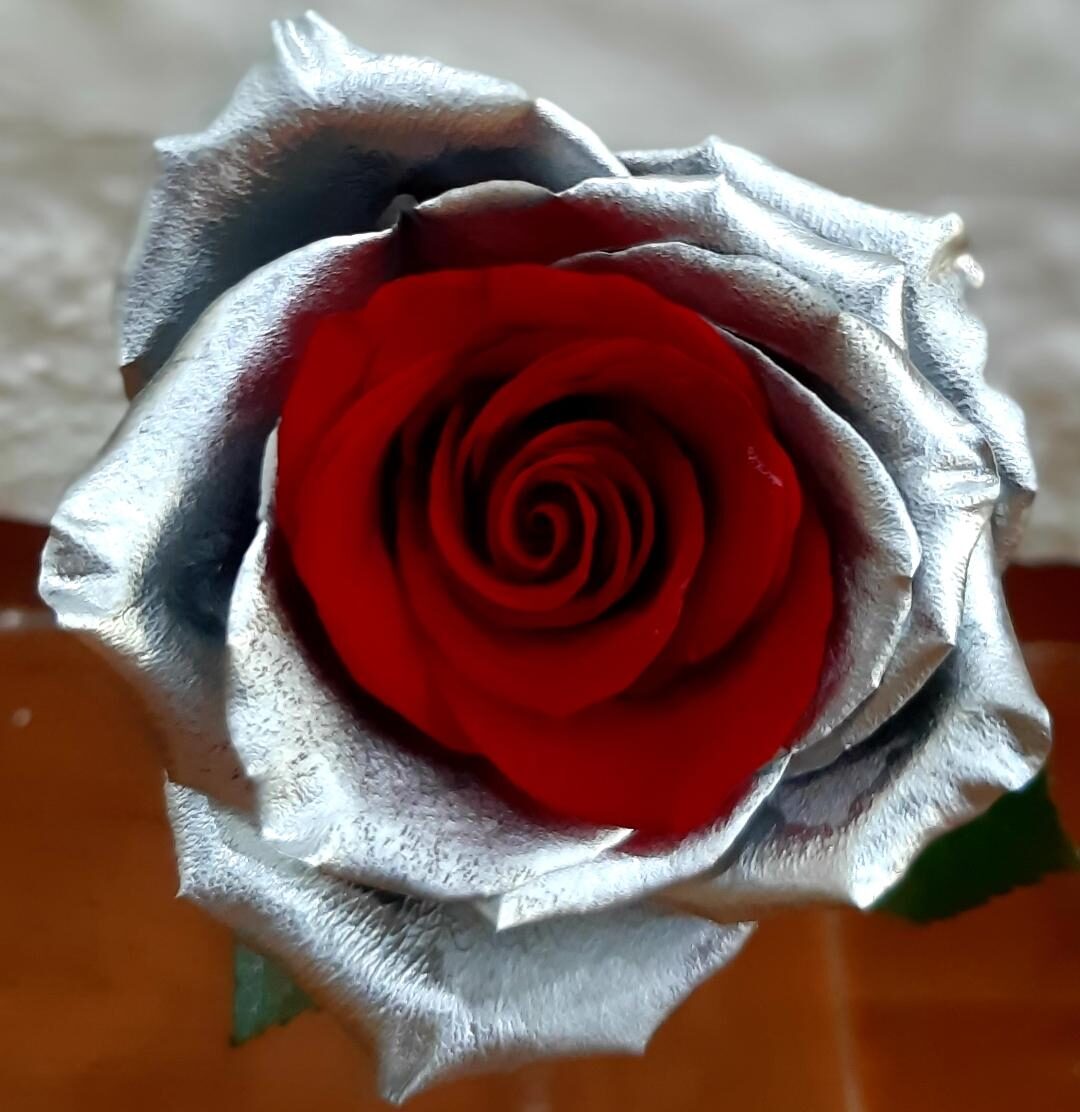 ROSA ROJO PLATA