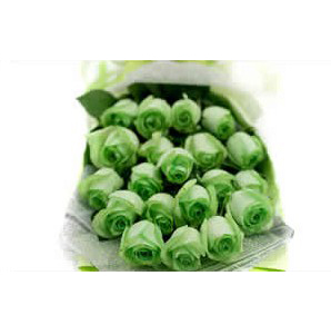 ROSAS VERDES
