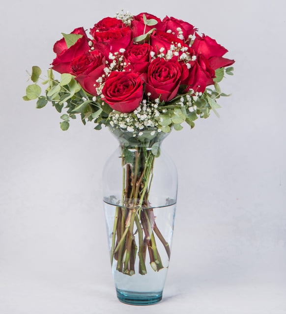 10 rosas rojas