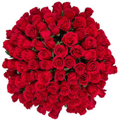 100 rosas rojas de tallo largo