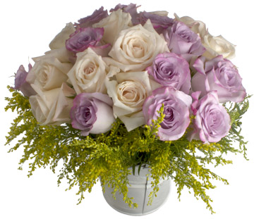 24 rosas de colores en cubo