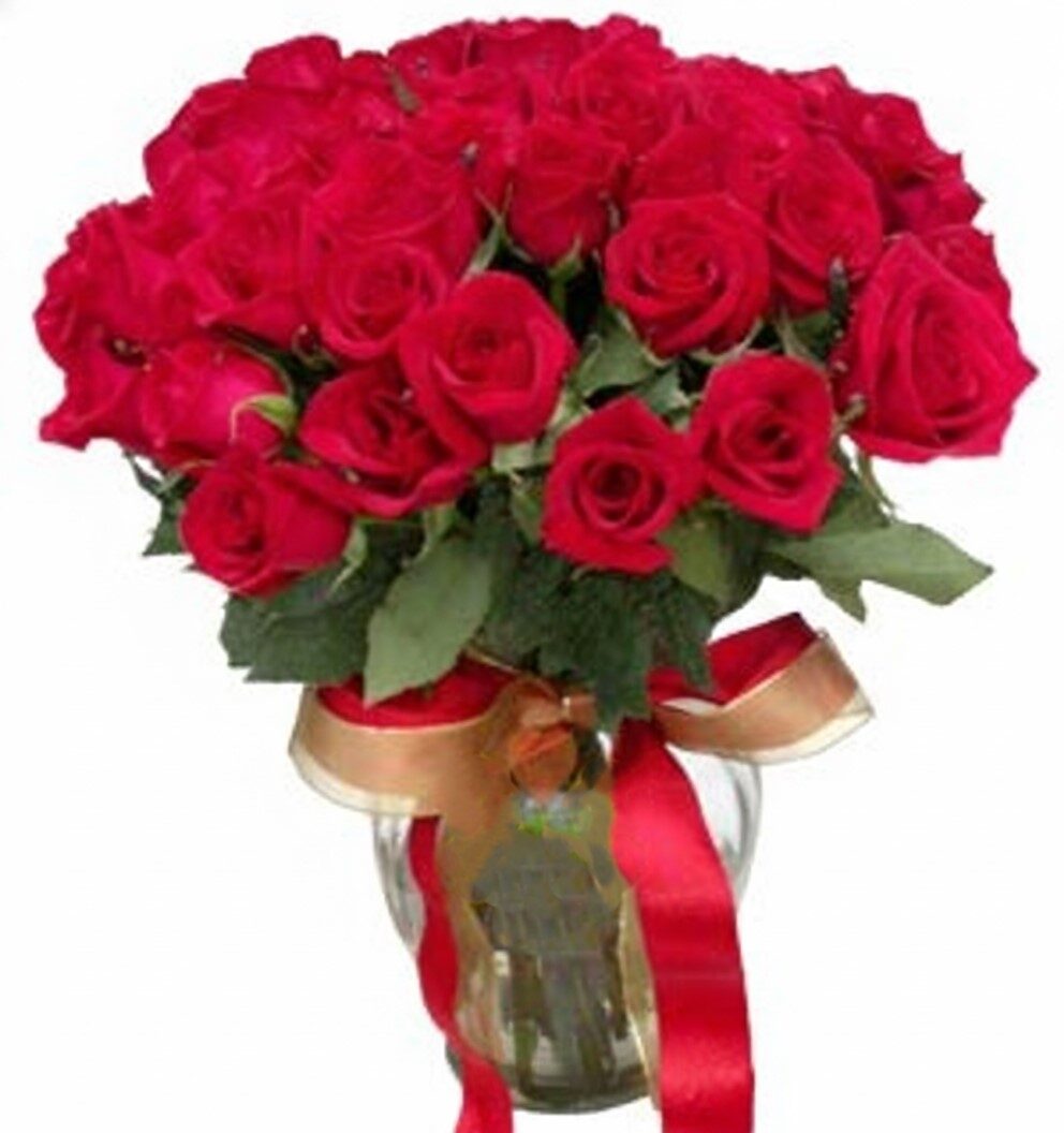 48 rosas rojas en florero