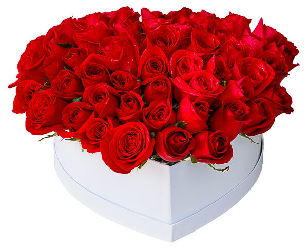 Rosas rojas en caja blanca en forma de corazón.