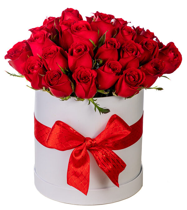 Rosas rojas en caja redonda blanca alta.