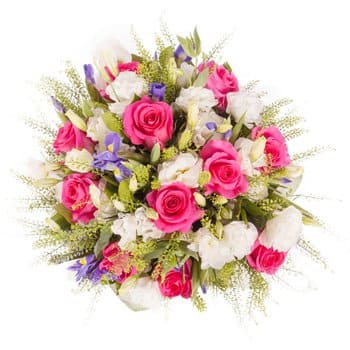 Princesa Rosa
