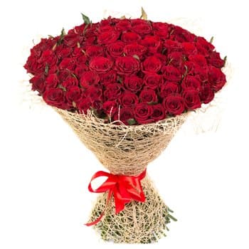 Regal Roses