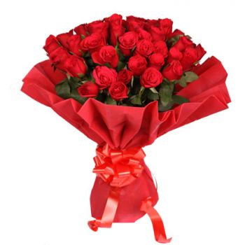 24 rosas rojas