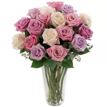 18 Rosas Mixtas (Estándar)