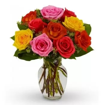 12 rosas de colores mezclados (estándar)