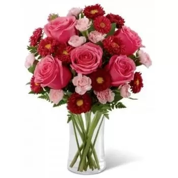 5 rosas rosadas, 10 claveles, 10 gerberas (estándar)