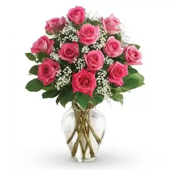 12 rosas rosadas (estándar)