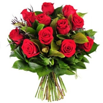 12 Red Roses (Standard)