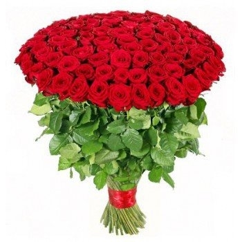 100 Red Roses (Standard)