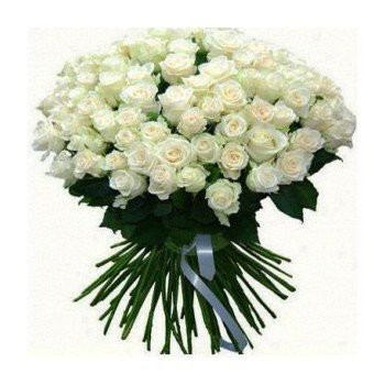 100 rosas blancas (estándar)
