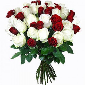 24 rosas rojas y blancas
