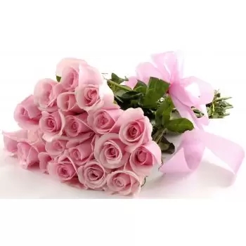 20 rosas rosas suaves (estándar)