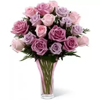 18 Mixed Roses (Premium)