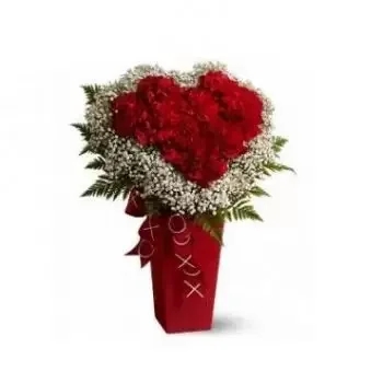 35 Red Carnations and White Babys Breath (Standard)