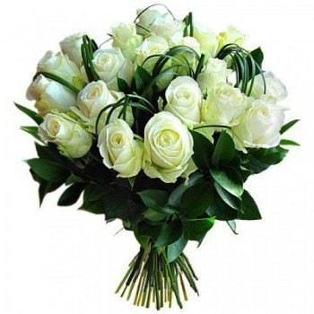 24 rosas blancas (estándar)