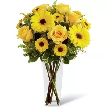 4 Rosas y 15 Gerberas (Estándar)