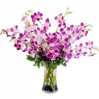 Orquídeas moradas de 15 tallos (estándar)