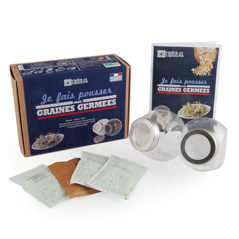 2 macetas de vidrio con semillas orgánicas germinadas