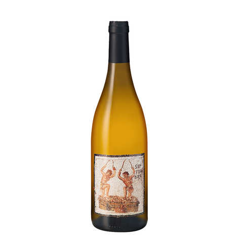 Vino Blanco Ecológico y Sin Sulfitos Añadidos - Janus