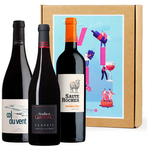 Caja 3 vinos tintos Sud de France