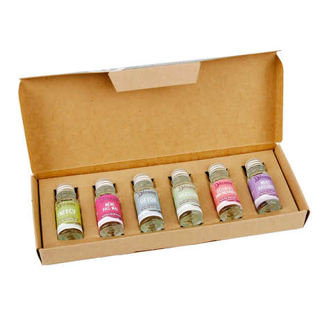 Caja de descubrimiento Dizane: 6 miniaturas de concentrados de plantas orgánicas para diluir.