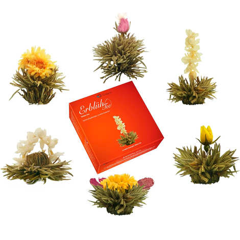 Caja de 6 flores de té blanco